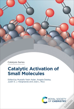 Capa do artigo Catalytic Activation Of Small Molecules
