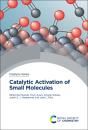 Catalytic Activation Of Small Molecules - Preview