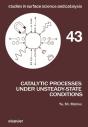 Catalytic Processes Under Unsteady-State Conditions - Preview