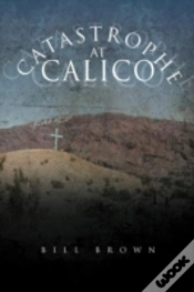 Capa do artigo Catastrophe At Calico