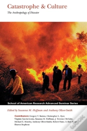 Capa do artigo Catastrophe & Culture