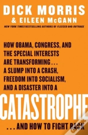 Capa do artigo Catastrophe
