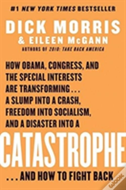 Capa do artigo Catastrophe