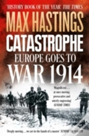 Capa do artigo Catastrophe