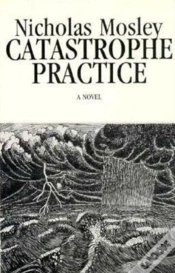 Capa do artigo Catastrophe Practice