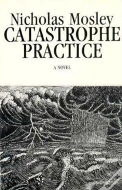 Capa do artigo Catastrophe Practice