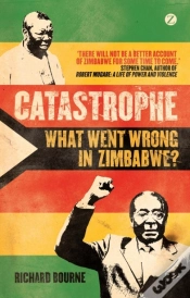 Capa do artigo Catastrophe