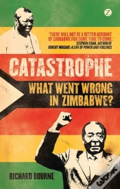Capa do artigo Catastrophe