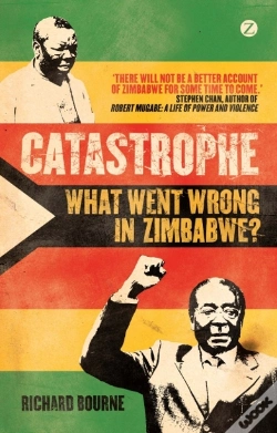Capa do artigo Catastrophe