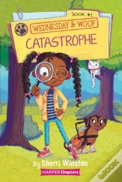 Capa do artigo Catastrophe