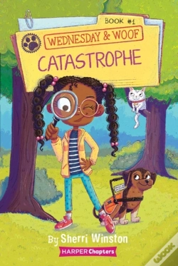 Capa do artigo Catastrophe