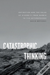 Catastrophic Thinking
