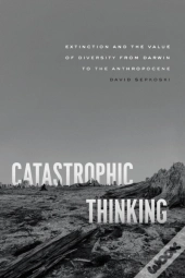 Catastrophic Thinking
