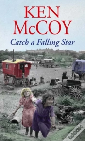 Capa do artigo Catch A Falling Star