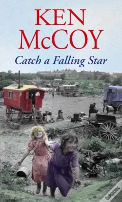 Capa do artigo Catch A Falling Star