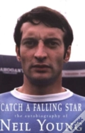 Capa do artigo Catch A Falling Star