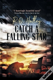 Capa do artigo Catch A Falling Star