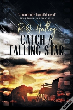 Capa do artigo Catch A Falling Star