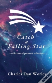 Capa do artigo Catch A Falling Star