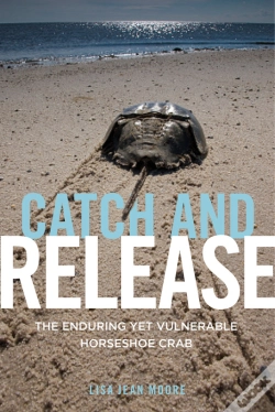 Capa do artigo Catch And Release