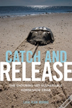Capa do artigo Catch And Release
