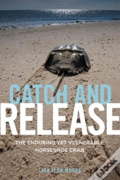 Capa do artigo Catch And Release