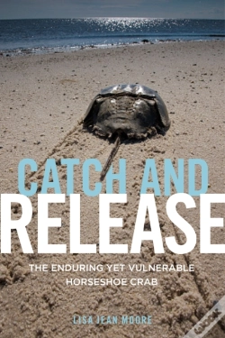 Capa do artigo Catch And Release