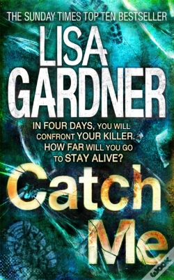 Capa do artigo Catch Me (Detective D.D. Warren 6)