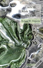 Capa do artigo Catch Me While You Have The Light