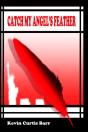 Catch My Angel'S Feather - Preview