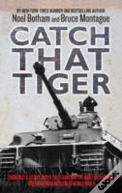 Capa do artigo Catch That Tiger