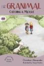 Catching A Measle - Preview
