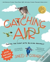 Capa do artigo Catching Air