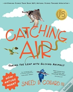 Capa do artigo Catching Air