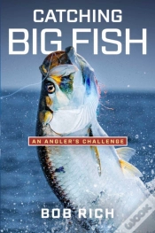 Capa do artigo Catching Big Fish