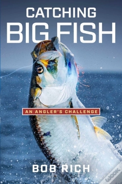 Capa do artigo Catching Big Fish