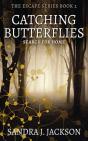 Catching Butterflies - Preview