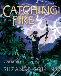 Capa do artigo Catching Fire: Illustrated Edition