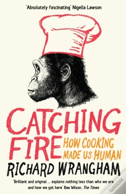 Capa do artigo Catching Fire