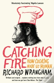 Capa do artigo Catching Fire
