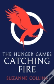 Capa do artigo Catching Fire