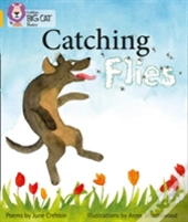 Catching Flies