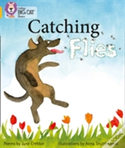 Capa do artigo Catching Flies