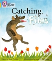 Capa do artigo Catching Flies