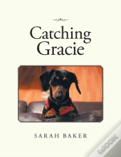 Capa do artigo Catching Gracie