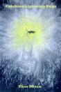 Catching Lightning Bugs - Preview