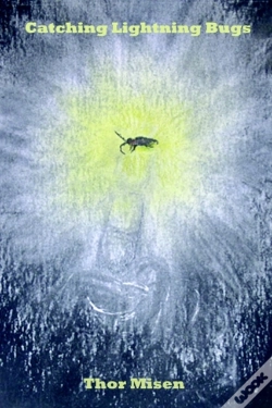 Capa do artigo Catching Lightning Bugs