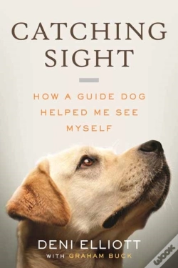 Capa do artigo Catching Sight