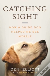 Capa do artigo Catching Sight