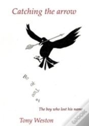 Capa do artigo Catching The Arrow